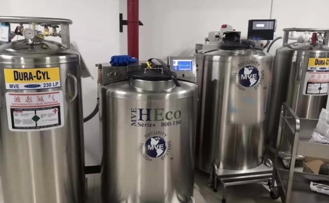 查特液氮罐 查特液氮罐