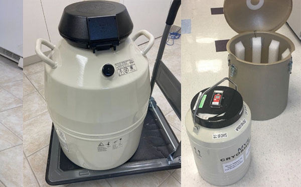 進口mve液氮罐 進口mve液氮罐