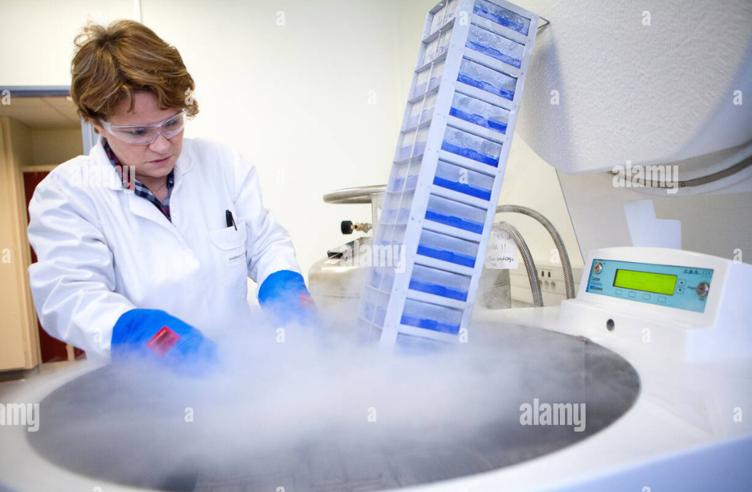 干細胞儲存 干細胞儲存