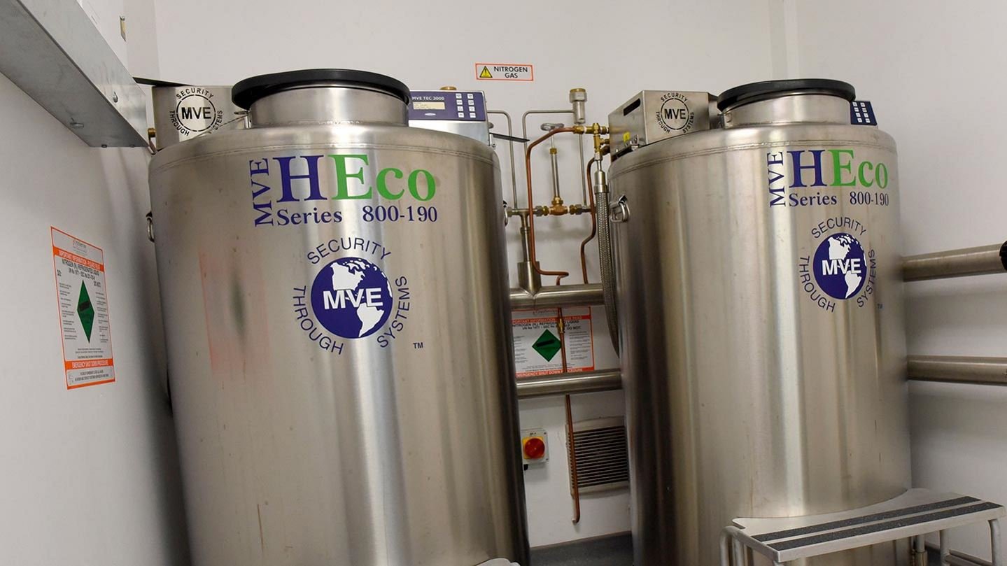 mve氣相液氮罐 mve氣相液氮罐